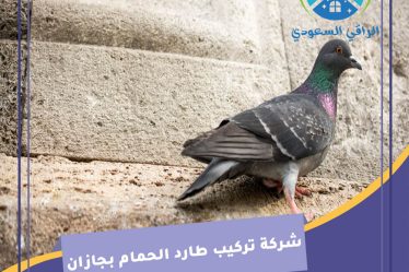 شركة تركيب طارد الحمام بجازان