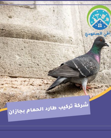 شركة تركيب طارد الحمام بجازان
