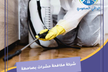 شركة مكافحة حشرات بصامطة