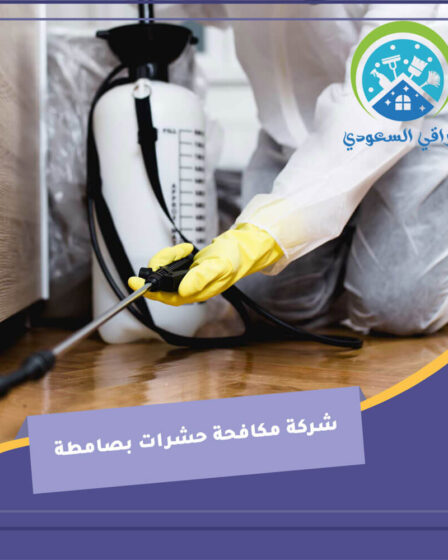شركة مكافحة حشرات بصامطة