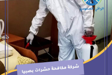 شركة مكافحة حشرات بصبيا