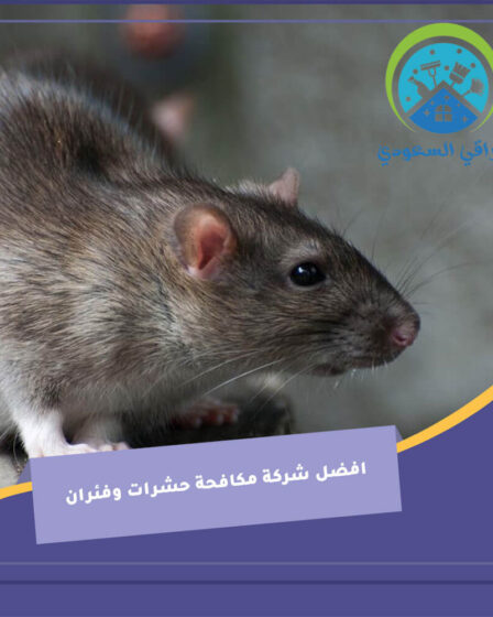 افضل شركة مكافحة حشرات وفئران