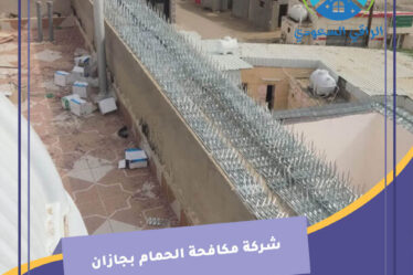 شركة مكافحة الحمام بجازان