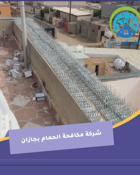 شركة مكافحة الحمام بجازان