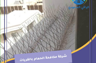 شركة مكافحة الحمام بالقريات