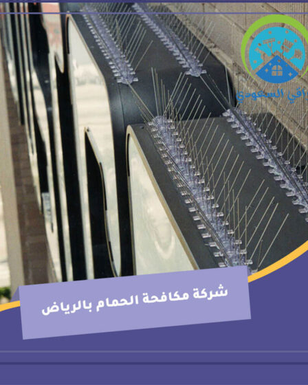 شركة مكافحة الحمام بالرياض