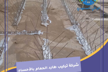 شركة تركيب طارد الحمام بالأحساء