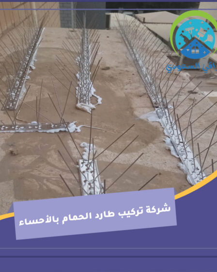 شركة تركيب طارد الحمام بالأحساء