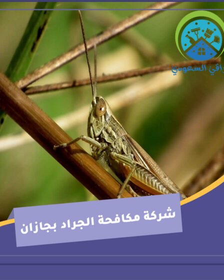 شركة مكافحة الجراد بجازان