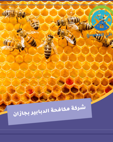 شركة مكافحة الدبابير بجازان