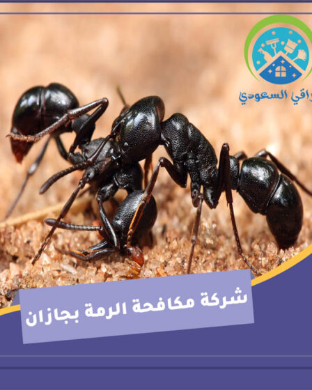 شركة مكافحة الرمة بجازان