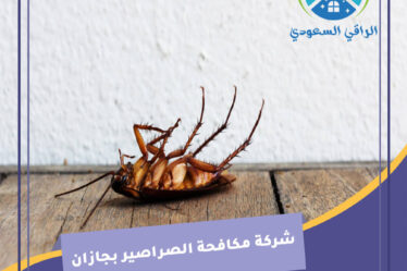 شركة مكافحة الصراصير بجازان