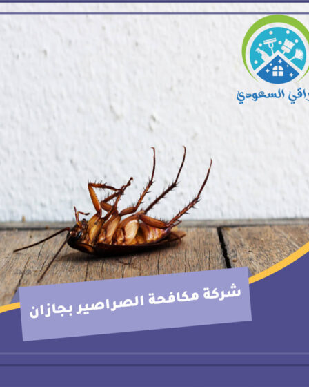 شركة مكافحة الصراصير بجازان