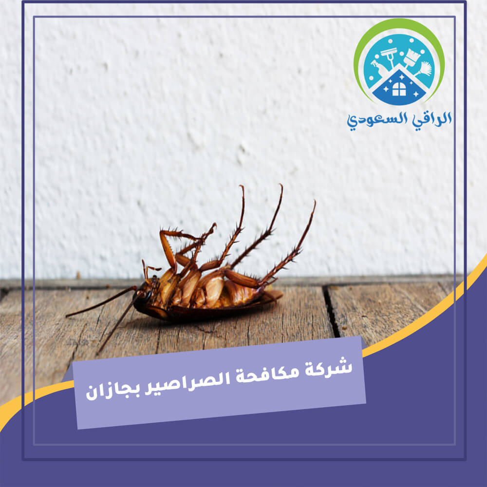 شركة مكافحة الصراصير بجازان