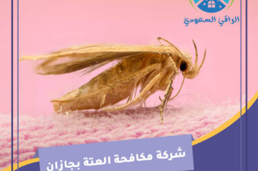 شركة مكافحة العتة بجازان