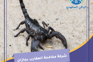 شركة مكافحة العقارب بجازان