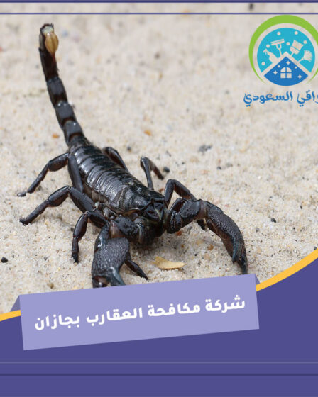 شركة مكافحة العقارب بجازان