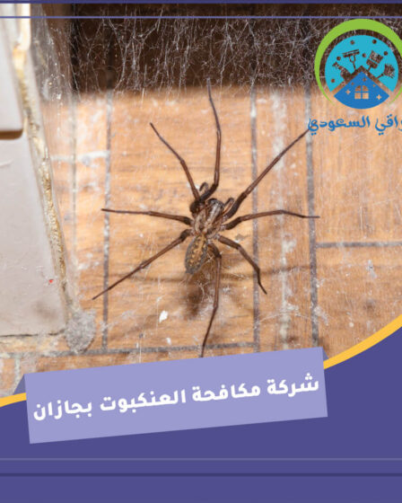 شركة مكافحة العنكبوت بجازان