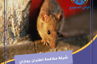 شركة مكافحة الفئران بجازان