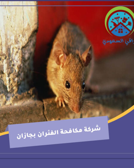 شركة مكافحة الفئران بجازان