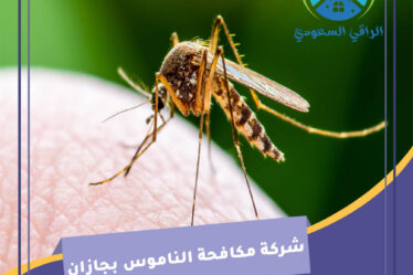 شركة مكافحة الناموس بجازان