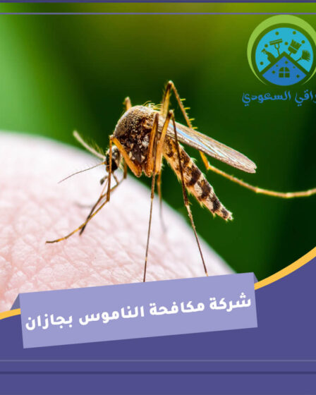 شركة مكافحة الناموس بجازان