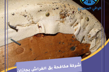 شركة مكافحة بق الفراش بجازان
