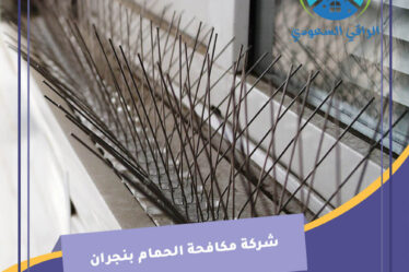 شركة مكافحة الحمام بنجران
