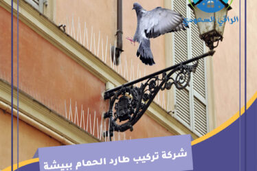 شركة تركيب طارد الحمام ببيشة