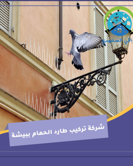 شركة تركيب طارد الحمام ببيشة