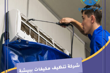 شركة تنظيف مكيفات ببيشة