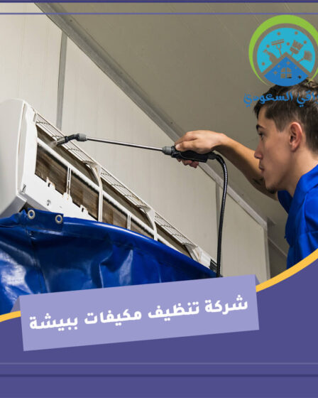 شركة تنظيف مكيفات ببيشة