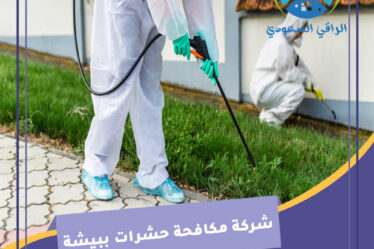 شركة مكافحة حشرات ببيشة