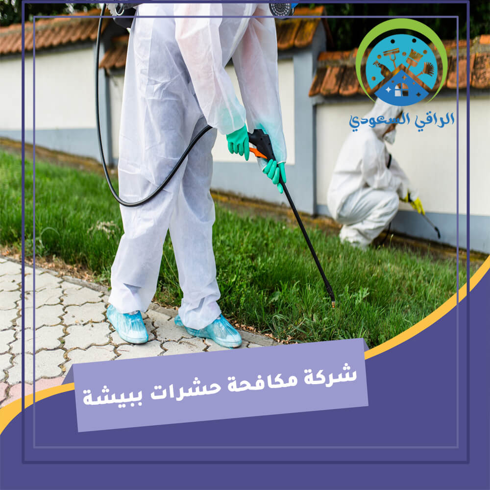 شركة مكافحة حشرات ببيشة