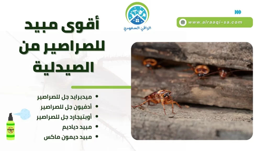 أقوى مبيد للصراصير من الصيدلية